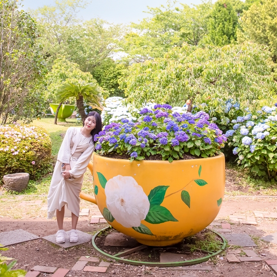 제주 카멜리아힐+심쿵혜택
